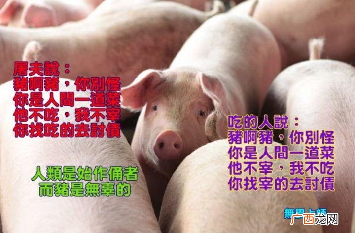 现在搞什么养殖业好 搞养殖是造业