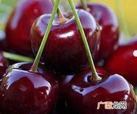 车厘子是什么季节水果，车厘子和樱桃有什么区