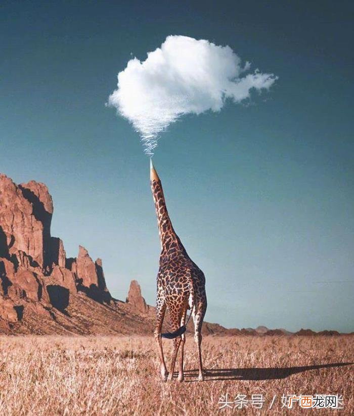 心里有委屈的心情说说 委屈的句子说说心情