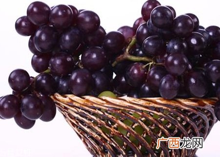 花青素对眼睛好吗？保护视力从花青素开始