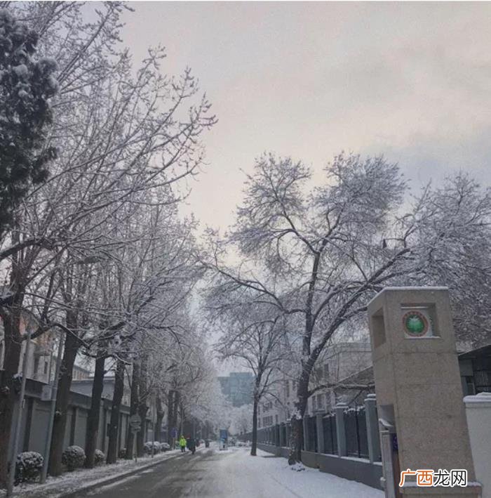 毕业感言|一波回忆杀 母校回忆精美句子