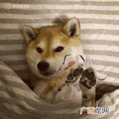 什么面膜最好用,品牌面膜排行榜!