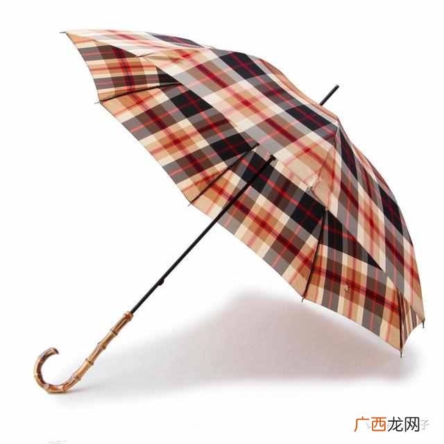 雨伞什么牌子好，品牌雨伞排行榜!