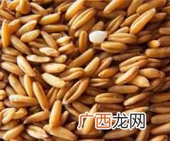 五谷杂粮是什么食物， 五谷杂粮有哪些种类！