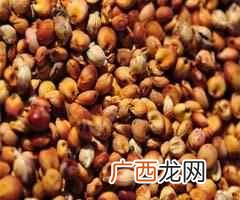 五谷杂粮是什么食物， 五谷杂粮有哪些种类！