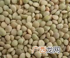 五谷杂粮是什么食物， 五谷杂粮有哪些种类！