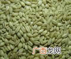 五谷杂粮是什么食物， 五谷杂粮有哪些种类！