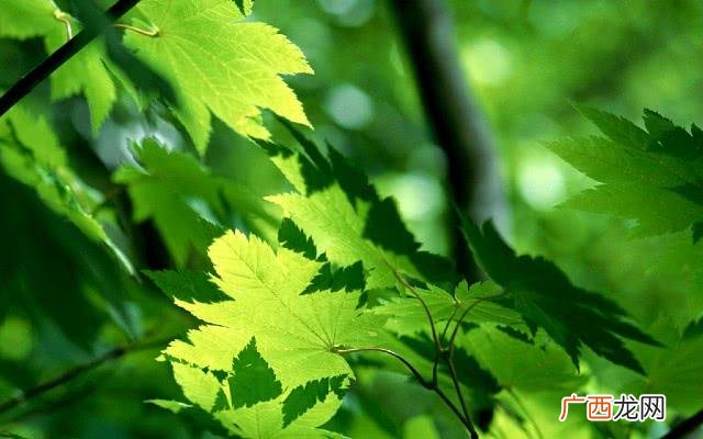 伤感说说 心好累了 00后发说说的伤感爱情句子