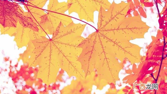 伤感说说 心好累了 00后发说说的伤感爱情句子