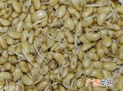 卵磷脂和海藻粉的区别功效上有区别
