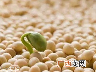 卵磷脂和海藻粉的区别功效上有区别