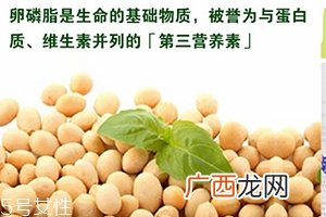 卵磷脂和深海鱼油搭配吃的好处怎么吃才正确