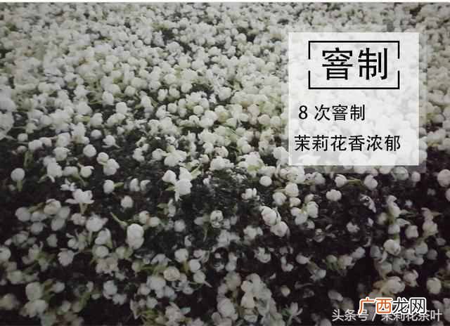 茉莉花茶属于什么茶，常喝茉莉花茶有什么好处