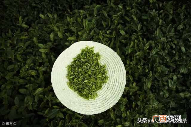 喝龙井茶有什么好处，龙井茶的功效有哪些！