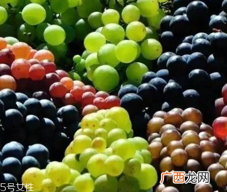 葡萄籽好还是胶原蛋白好?各有千秋