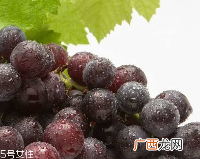 葡萄籽能和感冒药一起吃吗？