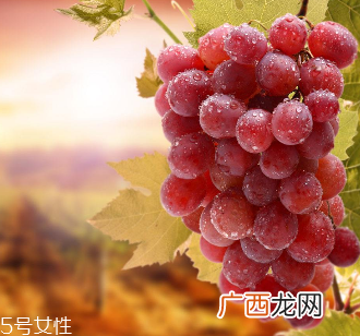 葡萄籽会影响睡眠吗?这个肯定不会