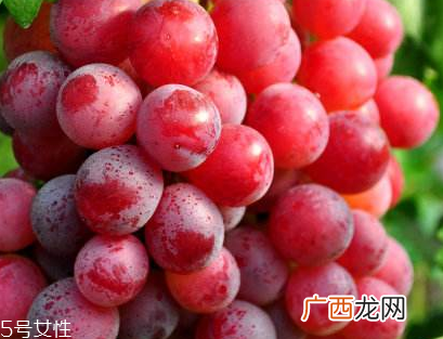 葡萄籽会发胖吗？不会发胖