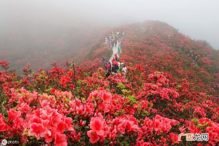 国庆节朋友圈祝福语 国庆节快乐的说说