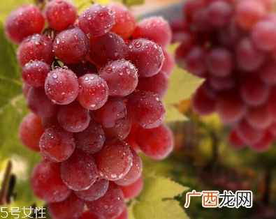 葡萄籽会长痘吗？没有这个情况