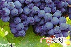 葡萄籽会长痘吗？没有这个情况