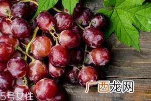 葡萄籽适合多大年龄吃？25岁女性必备