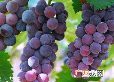 葡萄籽会推迟月经吗？一般不会