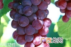 葡萄籽会推迟月经吗？一般不会