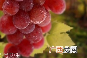 葡萄籽泡水喝有作用吗？美容保健