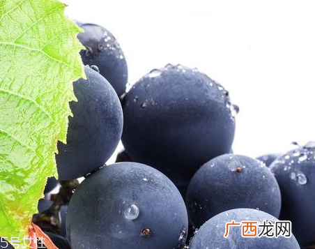 葡萄籽配什么吃效果更佳？