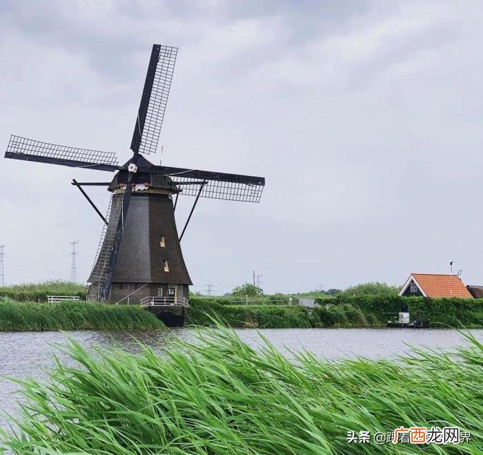 荷兰是怎样让性旅游合法化的 荷兰是哪个国家