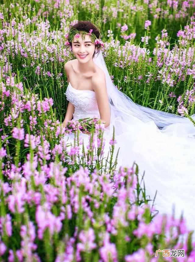 熏衣草的花语是什么？含义有哪些？