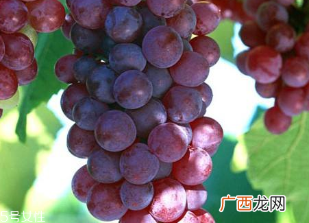 葡萄籽会影响月经吗？吃法正确就不会