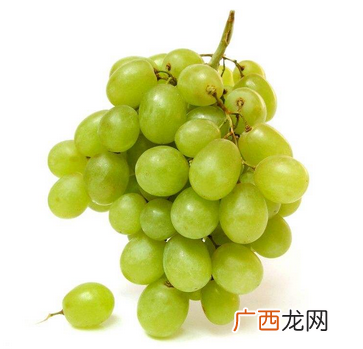 葡萄籽提取物不适宜人群