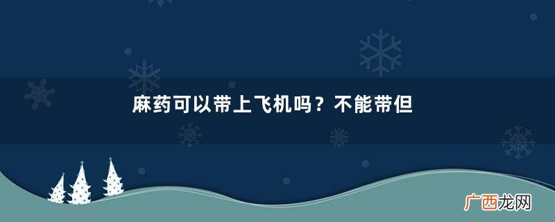 麻药可以带上飞机吗？不能带但可托运