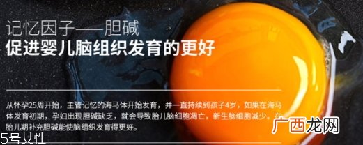 黄金素和dha可以一起吃吗?