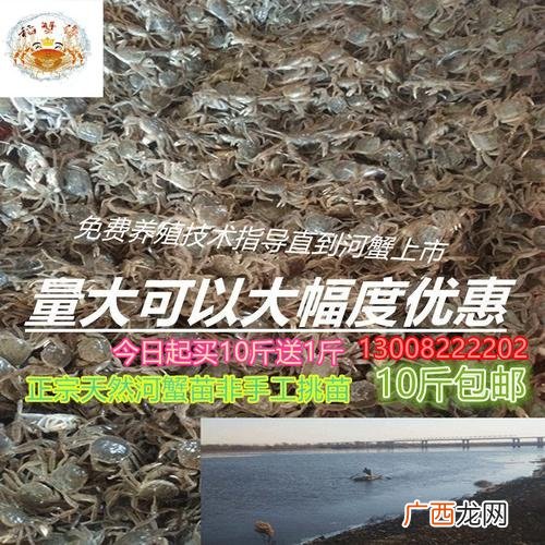 扣蟹开始投饵量 扣蟹养殖种伊乐藻
