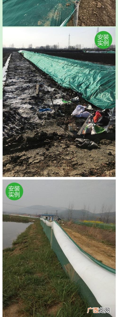 哪里有大规模的龙虾养殖基地 龙虾养殖防逃网厂家