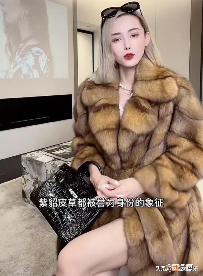 安九告辛巴，安九回应离开辛巴的代价