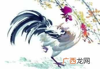 香港十大风水师哪个算的准？