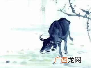 香港十大风水师哪个算的准？