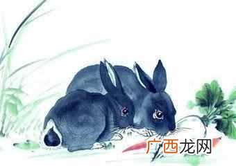 香港十大风水师哪个算的准？