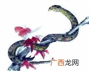 香港十大风水师哪个算的准？