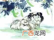 香港十大风水师哪个算的准？