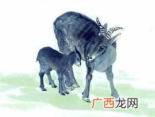 香港十大风水师哪个算的准？