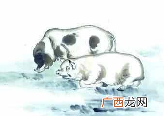 香港十大风水师哪个算的准？