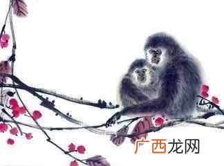 香港十大风水师哪个算的准？
