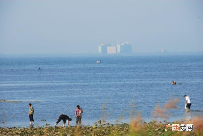 深圳海面出现了鱼形海市蜃楼 海市蜃楼为什么可怕