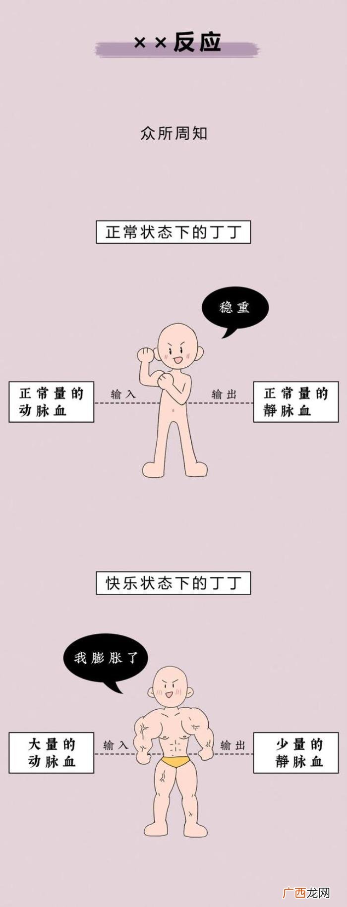 男生该有的生理反应 男女接吻时的生理反应强烈