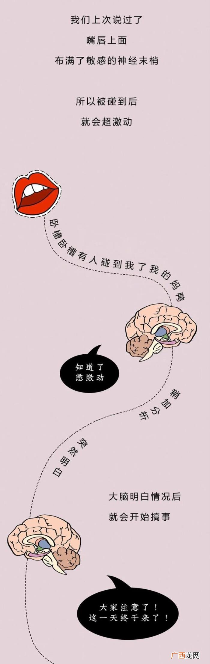 男生该有的生理反应 男女接吻时的生理反应强烈